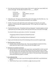 Instructions for Form SC-P-412, E-5 Scheduling Conference Statement - Hawaii, Page 2