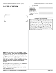 Form NA290 Notice of Action - California