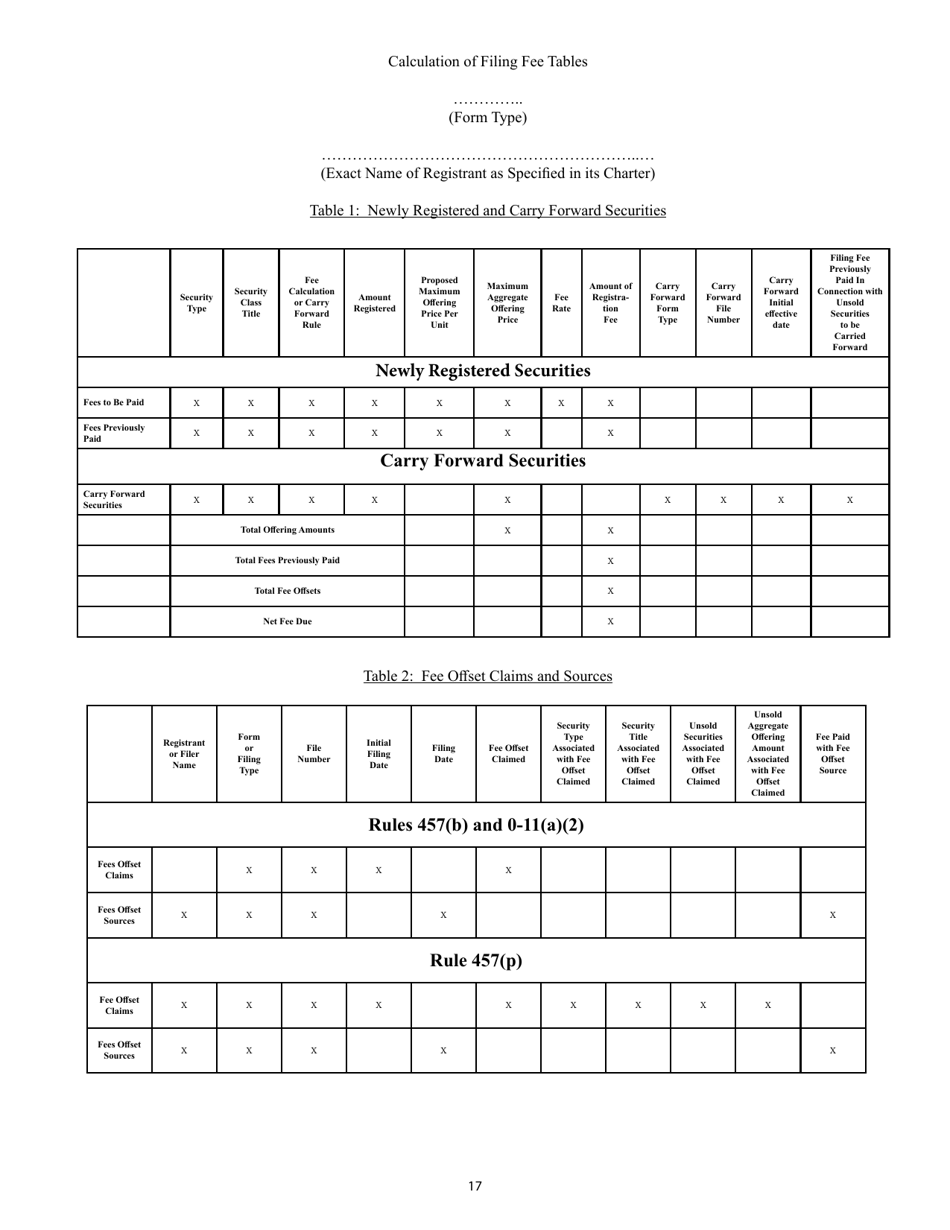 SEC Form 2077 (S-4) Registration Statement Under the Securities Act of 1933, Page 17