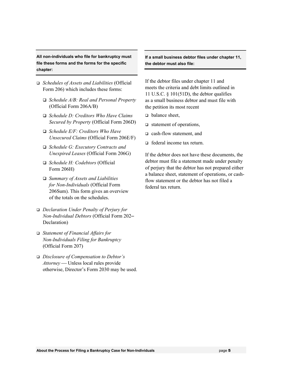 Instructions for Bankruptcy Forms for Non-individuals, Page 6