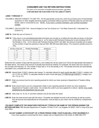 Form TXR-02.01C Consumer Use Tax Return - Nevada, Page 2