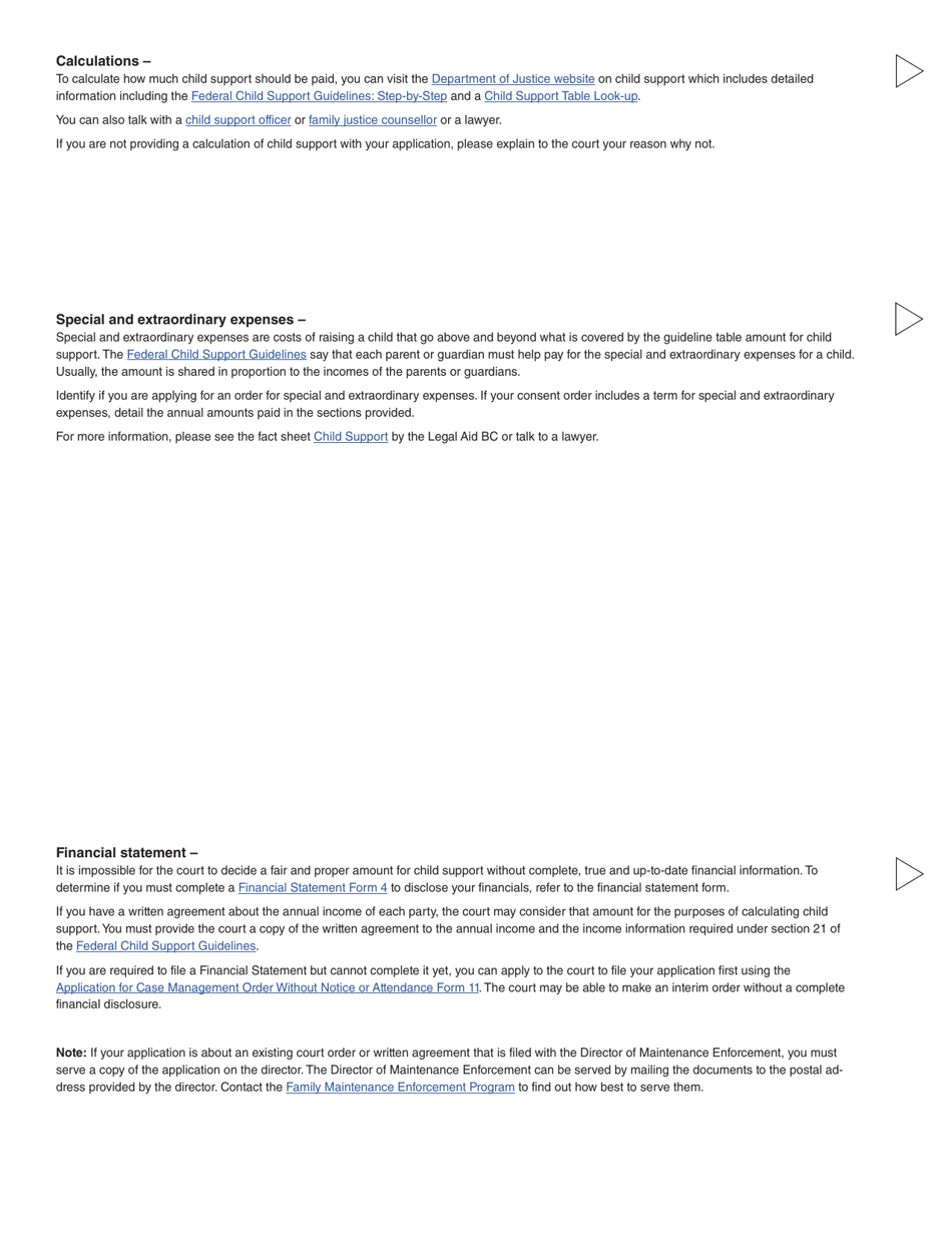 Form 17 (PFA723) Application for a Family Law Matter Consent Order - British Columbia, Canada, Page 17