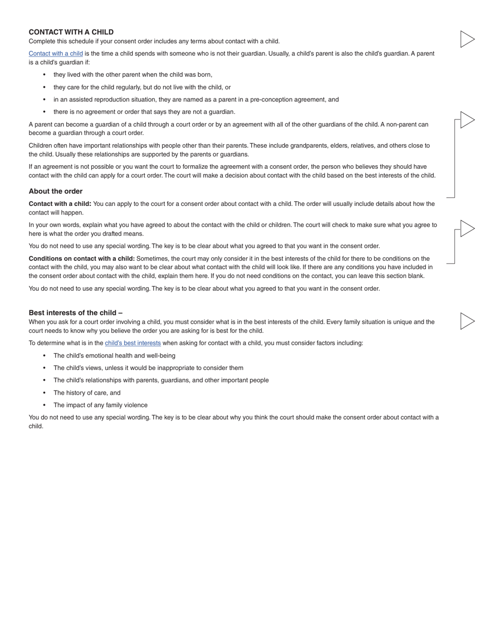 Form 17 (PFA723) Application for a Family Law Matter Consent Order - British Columbia, Canada, Page 19