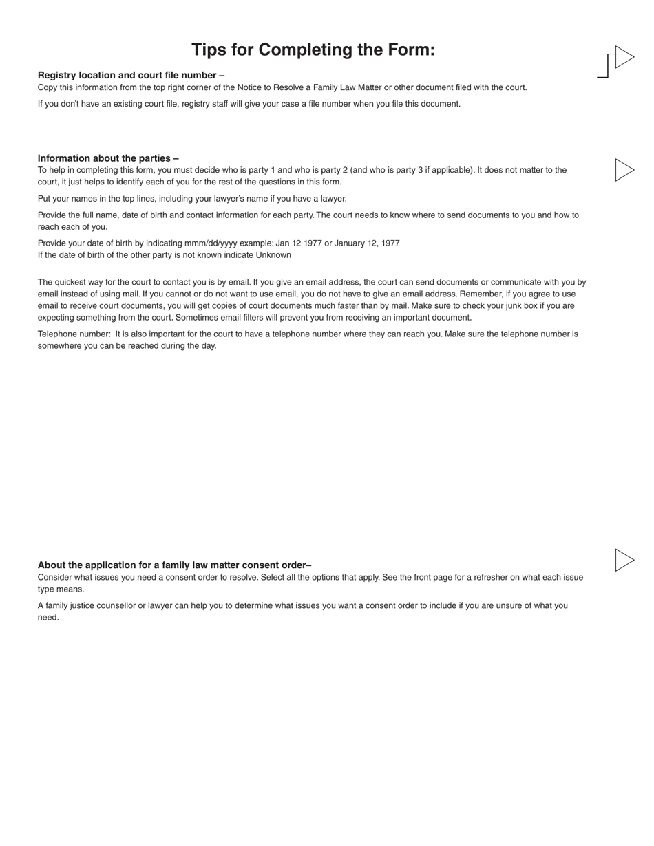 Form 17 (PFA723) Application for a Family Law Matter Consent Order - British Columbia, Canada, Page 3