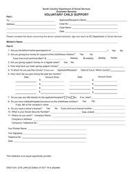 DSS Form 1216 Voluntary Child Support - South Carolina