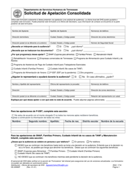 Formulario HS-3058SP Solicitud De Apelacion Consolidada - Tennessee (Spanish)
