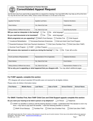 Document preview: Form HS-3058 Consolidated Appeal Request - Tennessee