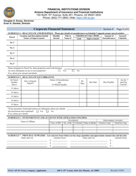 Section 8 Corporate Financial Statement - Arizona, Page 6