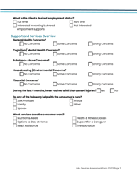 Oaa Services Assessment Form - Iowa, Page 2