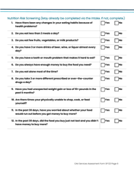 Oaa Services Assessment Form - Iowa, Page 6