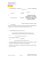 Document preview: Form DC6:8.3 Complaint for Paternity, Custody, Parenting Time, and Child Support - Nebraska
