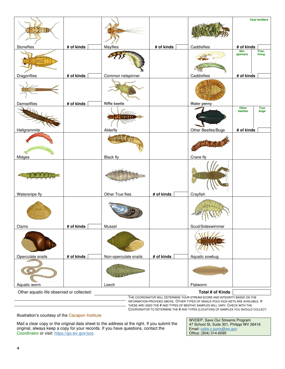 Level-One Survey Data Sheet (Modified) - West Virginia, Page 4