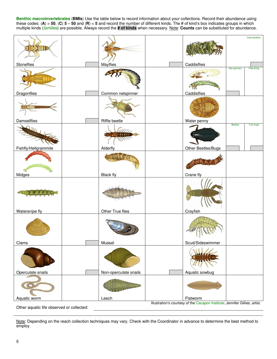 Level 1 Survey Data Sheet - West Virginia, Page 5