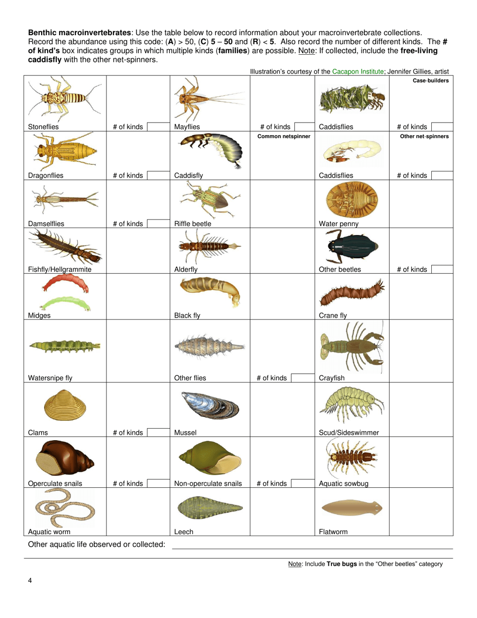 Level-1 Low Gradient Survey - West Virginia, Page 4