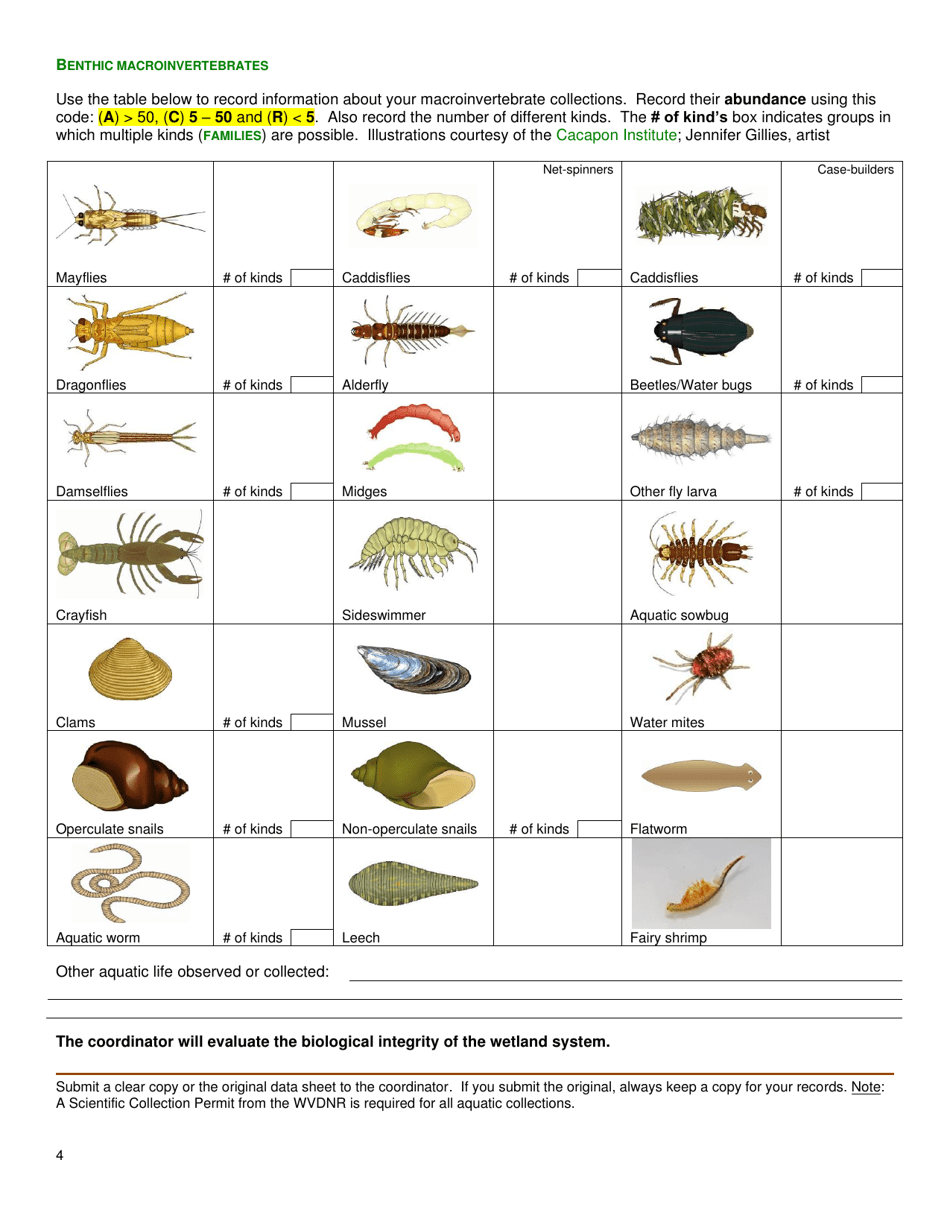 Wetland Survey Data Sheet - West Virginia, Page 4