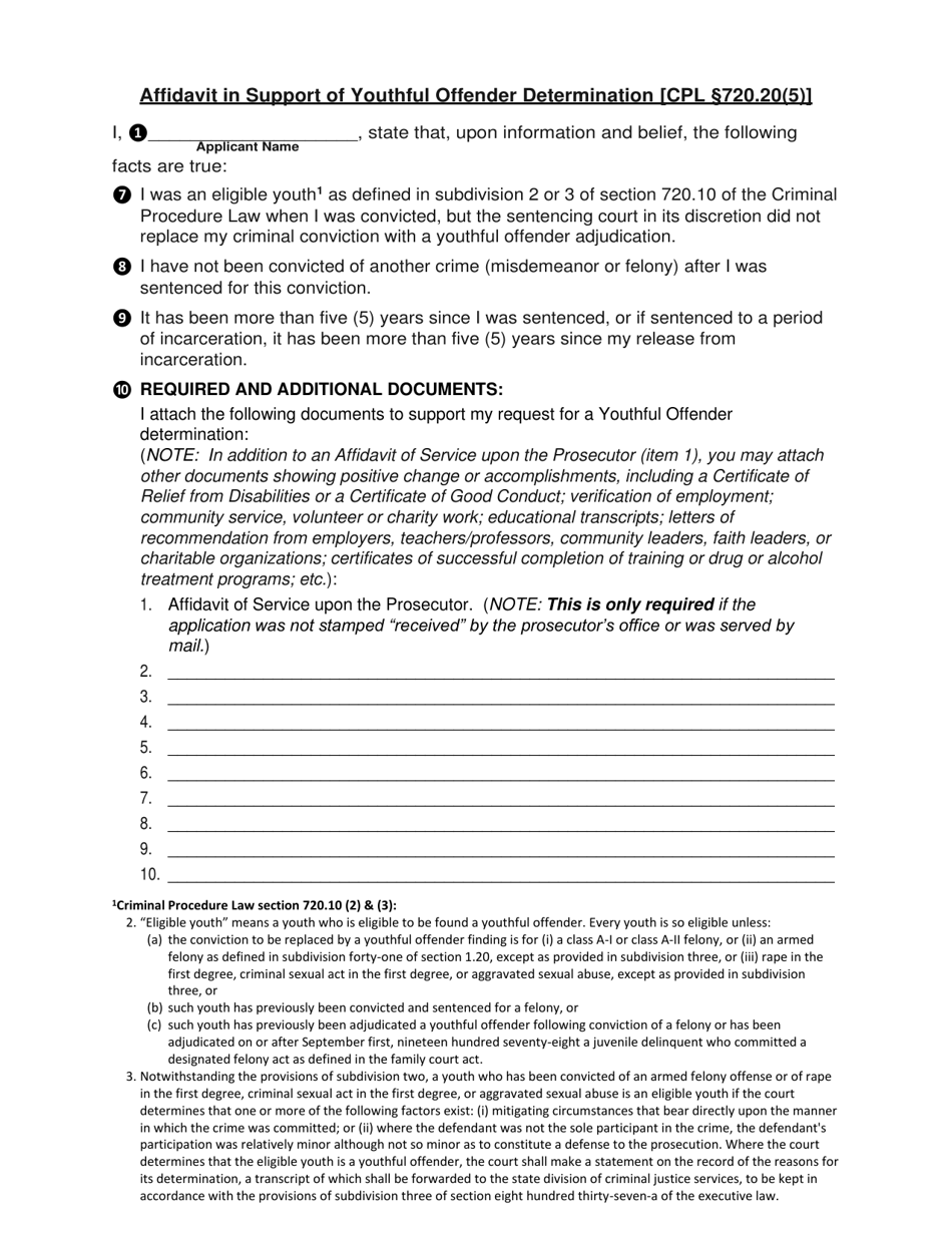 Application for Youthful Offender Determination [cpl 720.20(5)] With Affidavit of Service - New York, Page 8