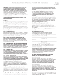 Instructions for Form DR-908 Insurance Premium Taxes and Fees Return - Florida, Page 12