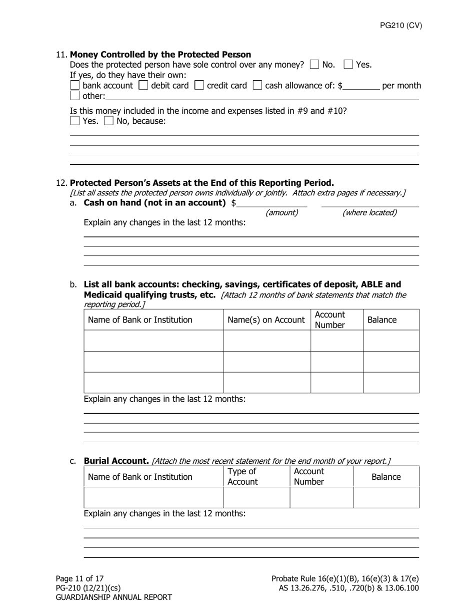 Form PG-210 Guardianship Annual Report - Alaska, Page 12