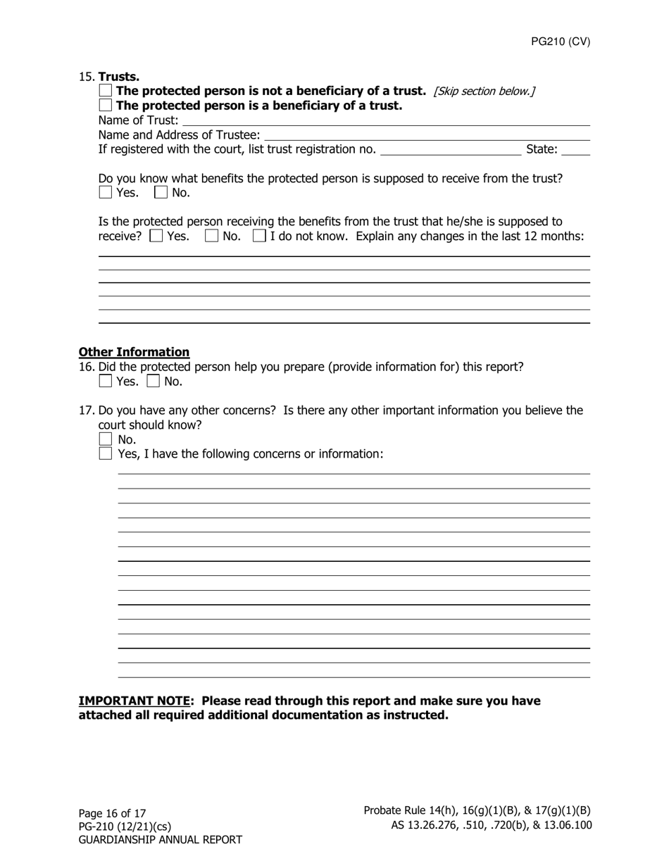 Form PG-210 Guardianship Annual Report - Alaska, Page 17