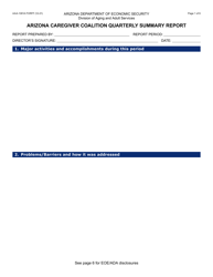 Document preview: Form AAA-1381A Arizona Caregiver Coalition Quarterly Summary Report - Arizona