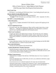 Child Passenger Safety (Cps) Grant Application, Page 2