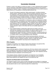 Form CFN552-0803 Telework Program Agreement - Iowa, Page 5