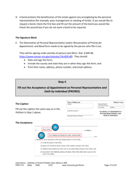 Form PRO1101 Instructions - Starting a Case: Formal Probate Without a Will - Minnesota, Page 15