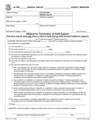 Document preview: Form CS95 Affidavit for Termination of Child Support - Missouri