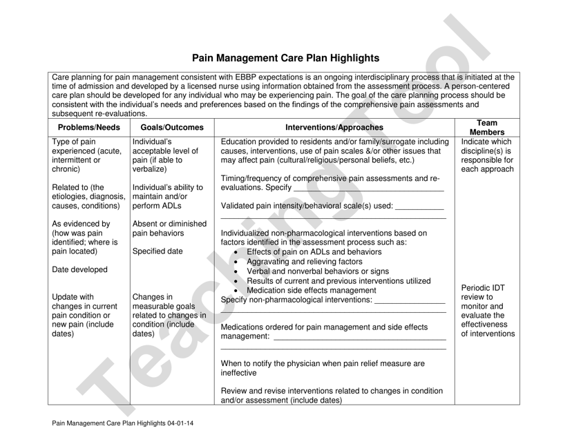 Pain Management Care Plan Highlights - Texas Download Pdf