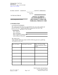 Form CH6ART14APP11 Initial Guardian Ad Litem Report in a Proceeding Under the Nebraska Probate Code - Nebraska