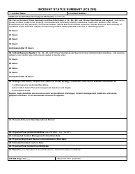 Form ICS209 Incident Status Summary, Page 3