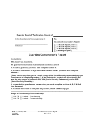 Form GDN R204 Guardian/Conservator&#039;s Report - Washington