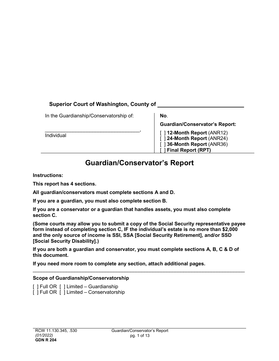 Form GDN R204 Guardian / Conservators Report - Washington, Page 1