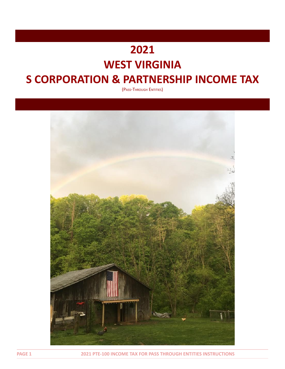 Download Instructions for Form PTE100 West Virginia Tax Return