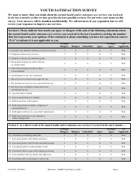 Document preview: Form F-01389A Mhsip Youth Satisfaction Survey - Wisconsin