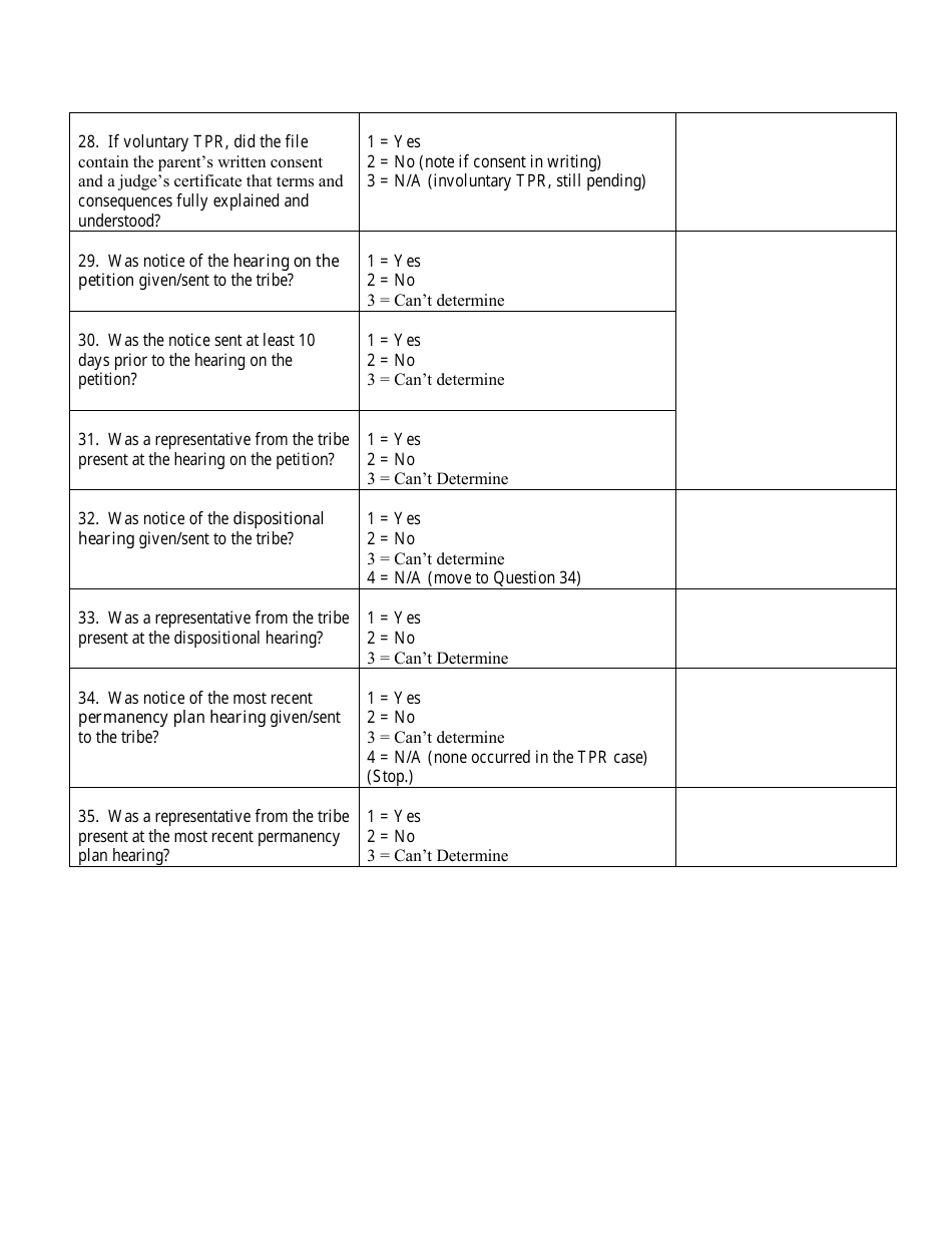Appendix B Childrens Court Initiative - Chips Court File Review Instrument - Wisconsin, Page 15