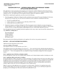 Document preview: Instructions for Form F-10081 Badgercare Plus - Express Enrollment for Pregnant Women Application - Wisconsin