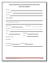 Document preview: Data Entry Template - Collin County, Texas