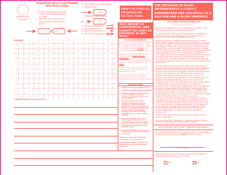 Form SR1B Illinois Motorist Report - Illinois, Page 2
