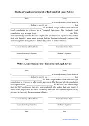 Prenuptial Agreement Template - Washington, Page 13