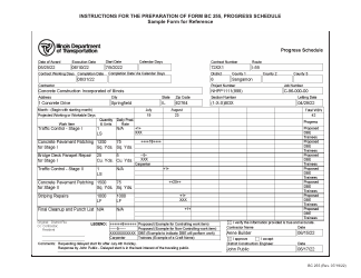 Form BC255 Progress Schedule - Illinois, Page 4