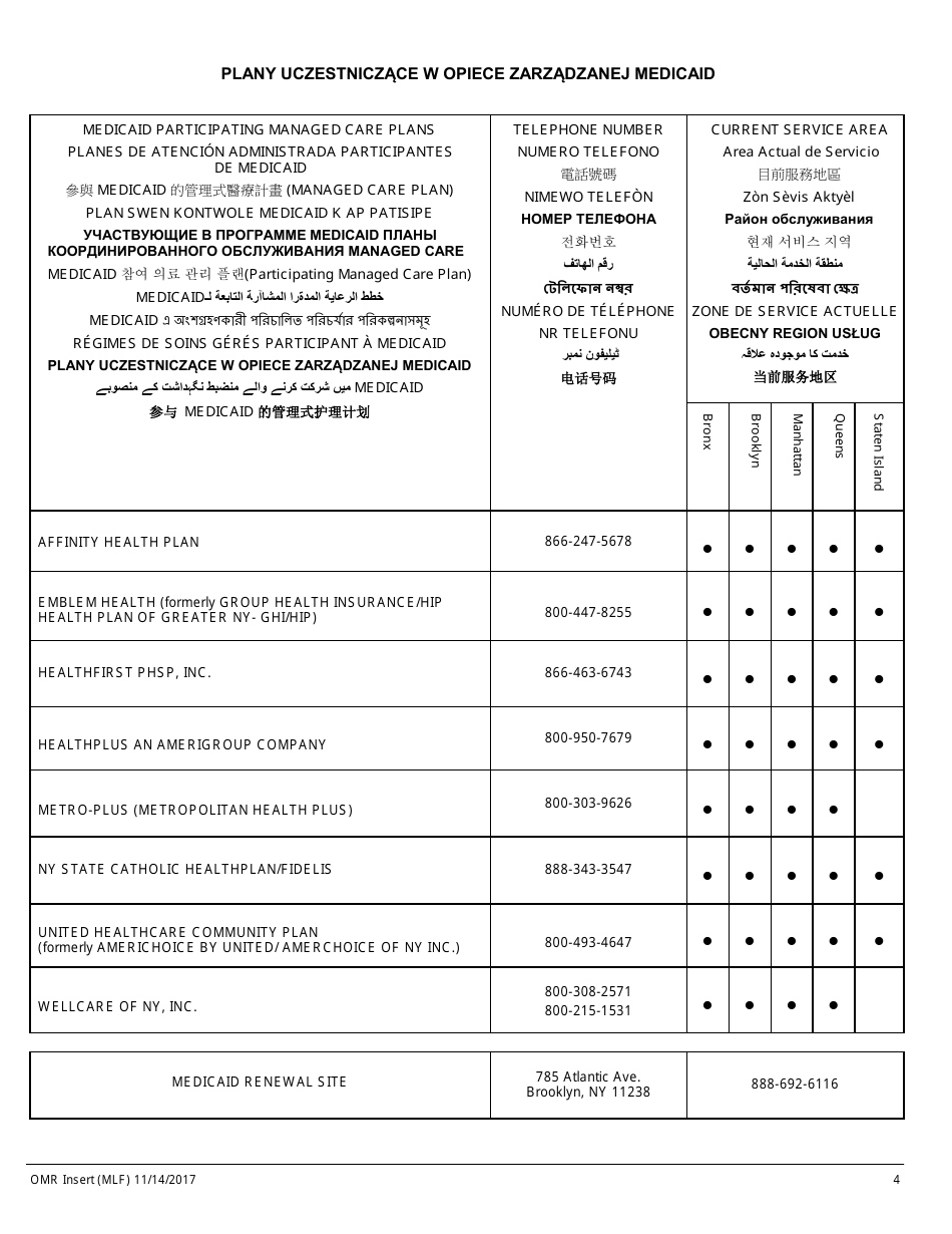 Form MAP-2020C Guide to Complete Your Medicaid Renewal Forms - New York City (English / Polish), Page 4