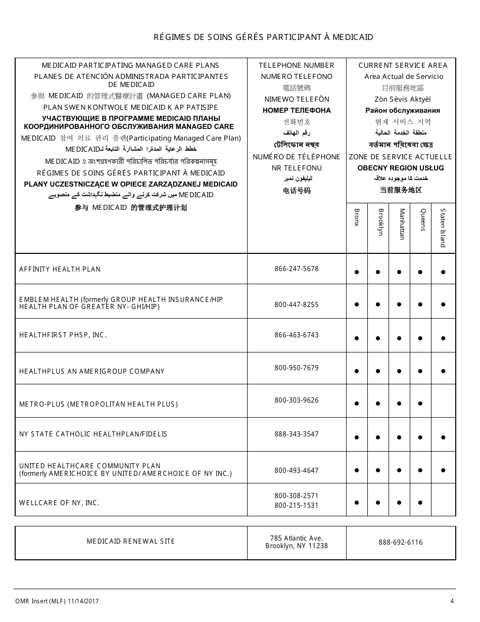Form MAP-2020C Guide to Complete Your Medicaid Renewal Forms - New York City (English / French), Page 4