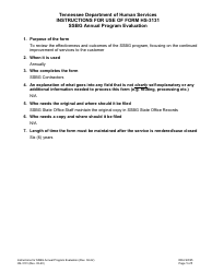 Document preview: Instructions for Form HS-3131 Ssbg Annual Program Evaluation - Tennessee
