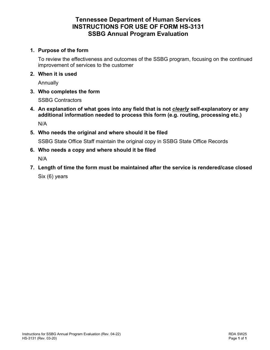 Instructions for Form HS-3131 Ssbg Annual Program Evaluation - Tennessee, Page 1