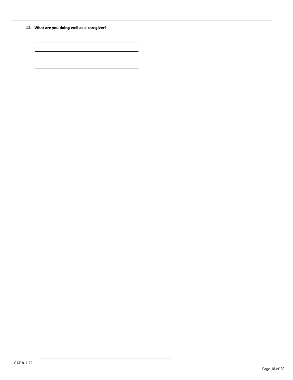 Caregiver Assessment Tool (Cat) - Pennsylvania, Page 18