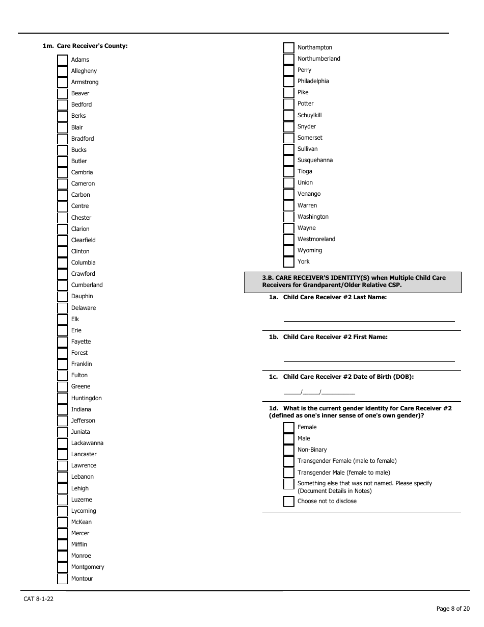 Caregiver Assessment Tool (Cat) - Pennsylvania, Page 8