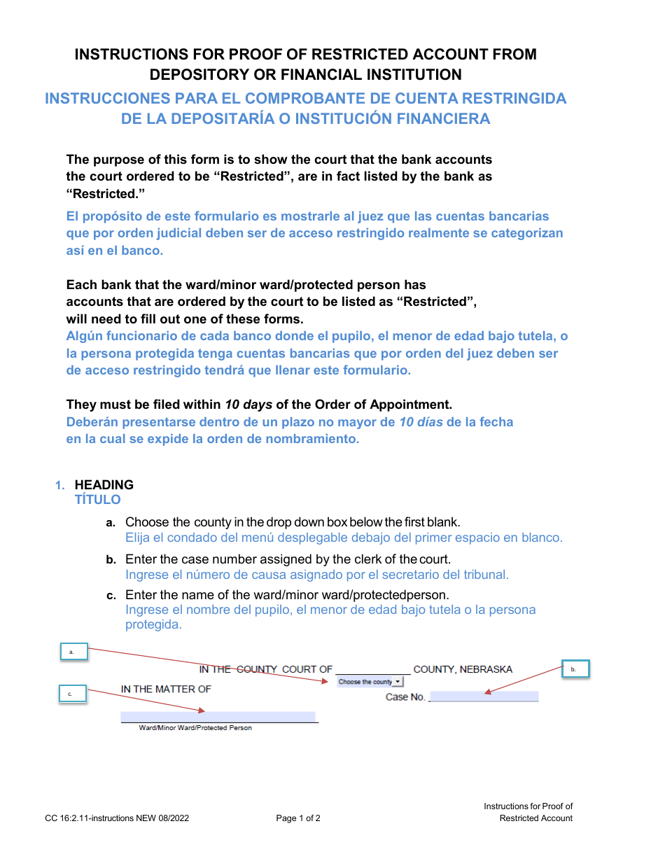 Instructions for Form CC16:2.11 Proof of Restricted Account From Depository or Financial Institution - Nebraska, Page 1