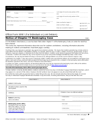 Document preview: Official Form 309E1 Notice of Chapter 11 Bankruptcy Case for Individuals or Joint Debtors