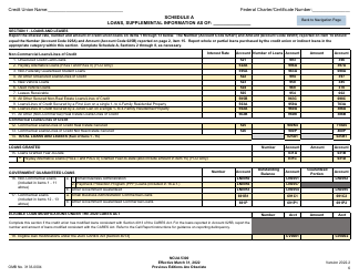 NCUA Form 5300 Call Report, Page 10